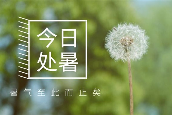 【衡陽通用電纜】處暑不是暑，秋涼知我意